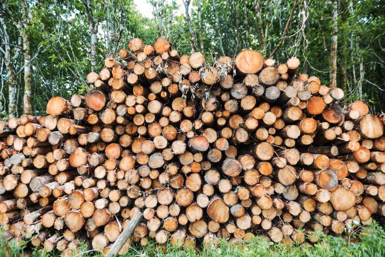 Grant aid available for forestry harvesting equipment