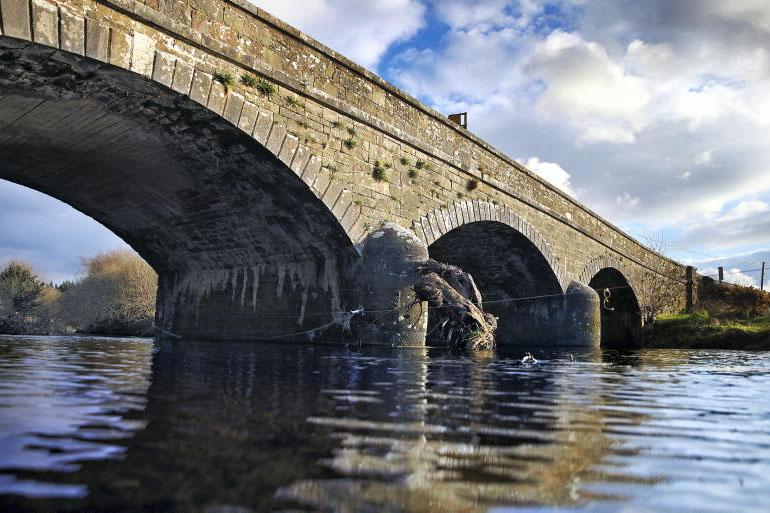 'No evidence' bacteria responsible for Blackwater fish kill - IFI