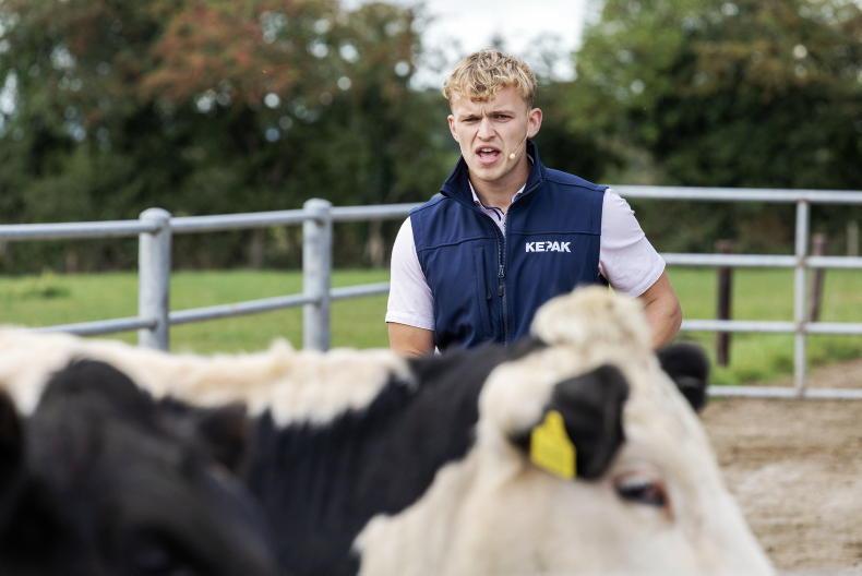 Huge farmer interest in Kepak on-farm event