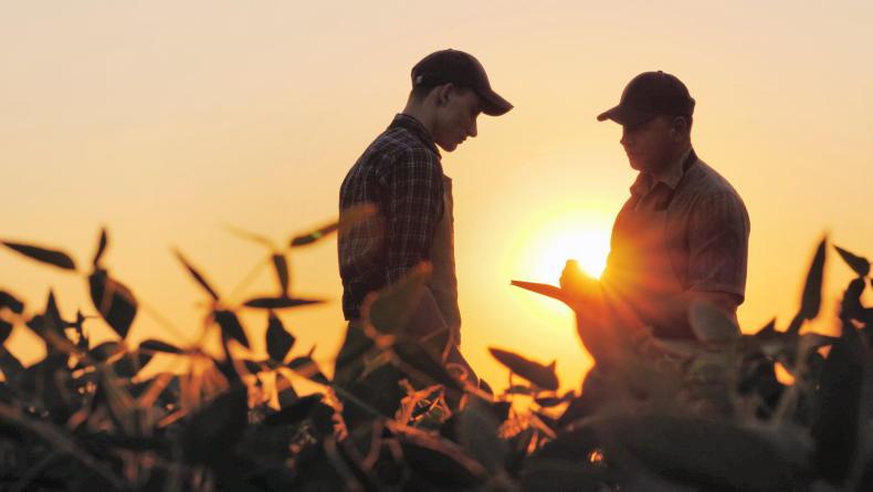 Pensions and wills: some practical steps to get started
