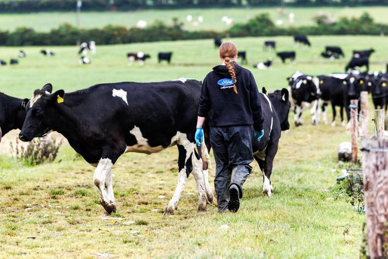 Five Teagasc events to mark generational renewal week