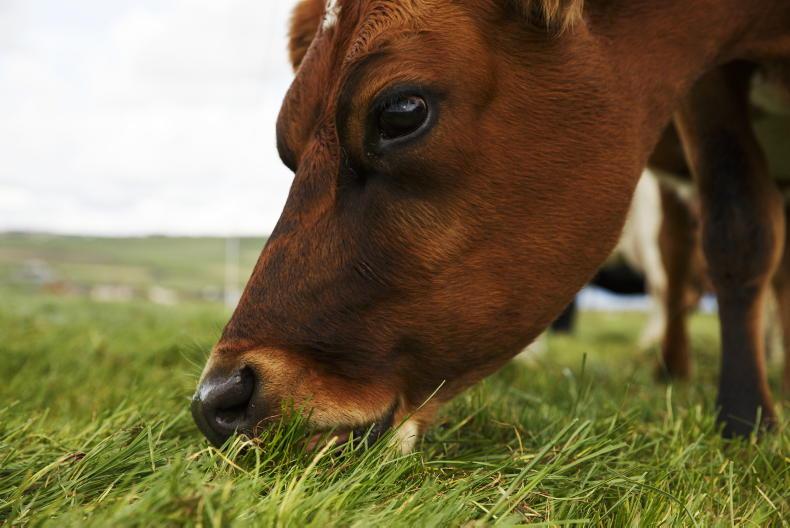 Four new appointments to board of Agri Aware