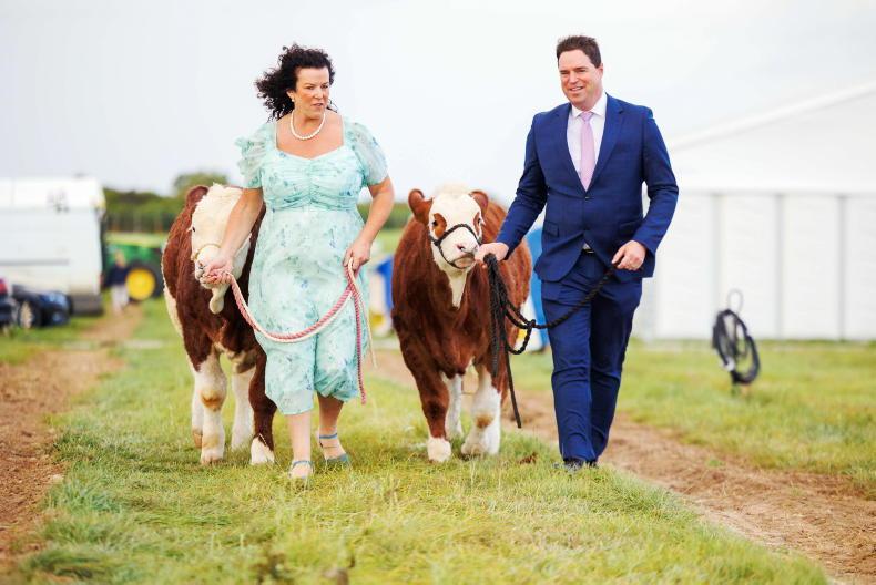 More livestock on way at 2025 National Ploughing Championships