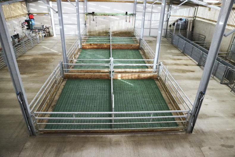What you need to know when building slatted sheep sheds