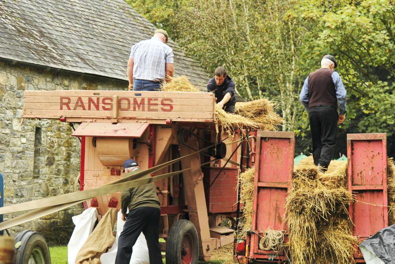 Threshing among attractions at traditional harvest day in Clare
