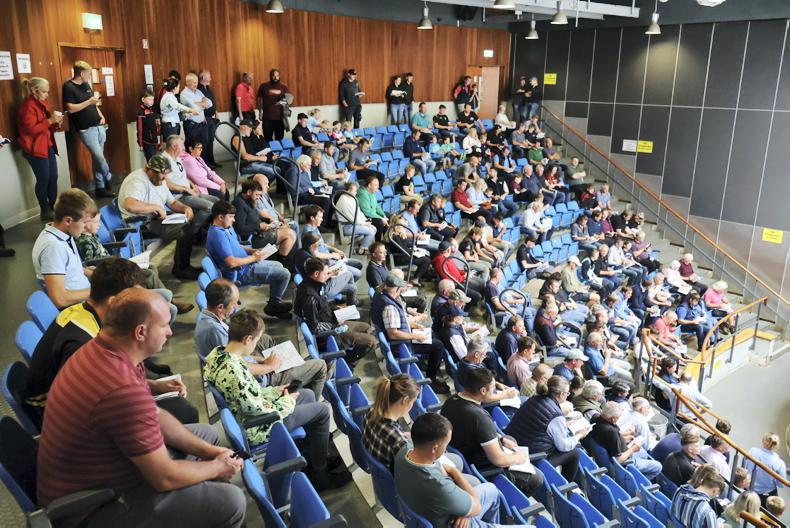 Average of €913/hd and 80% clearance at Sheep Ireland ram sale