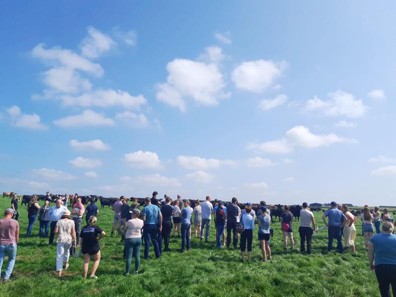 Share farming: how does it work and is it feasible?