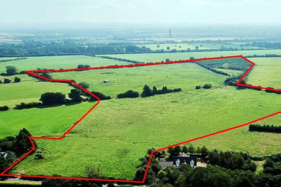 Two well located farms in the heart of Kildare set to go under the hammer