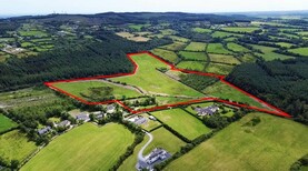 Small holdings create a big buzz ahead of auction