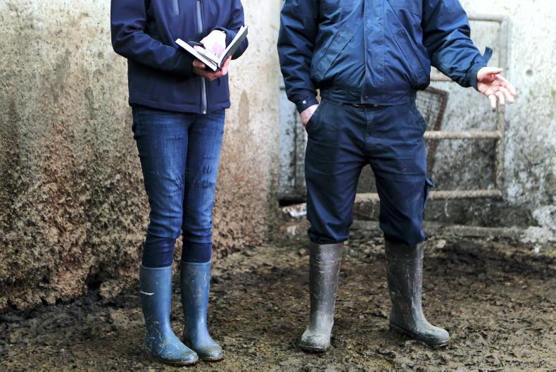 Over 900 penalties for NI farms in 2024