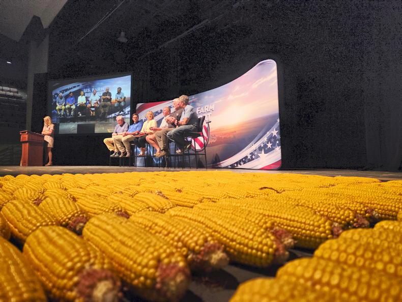 Editorial: Dutch move on nitrates is positive