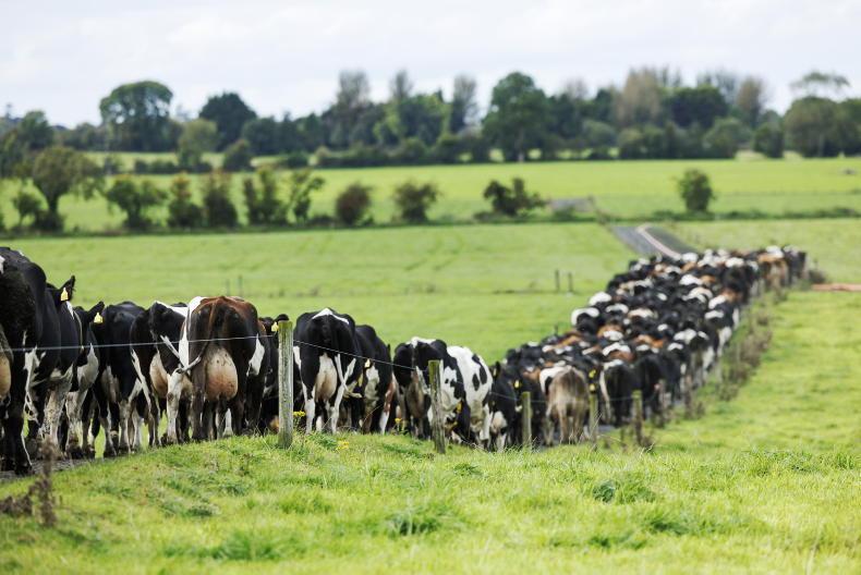 Blow to milk cheques if derogation is lost