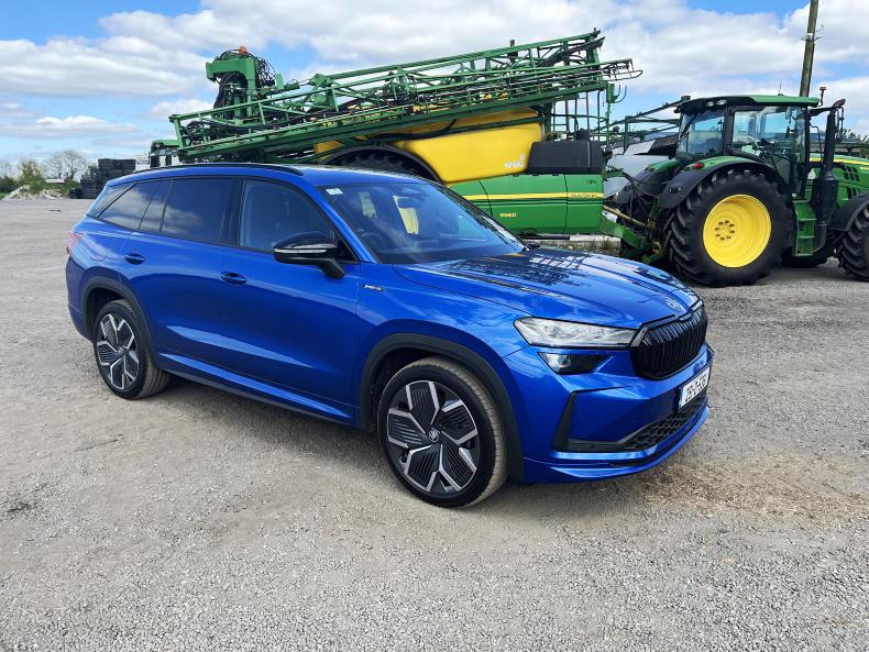 Sensible Skoda gives you power and model choice options
