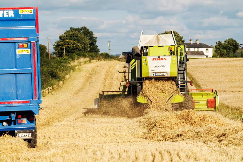 Malting price: where will it land?