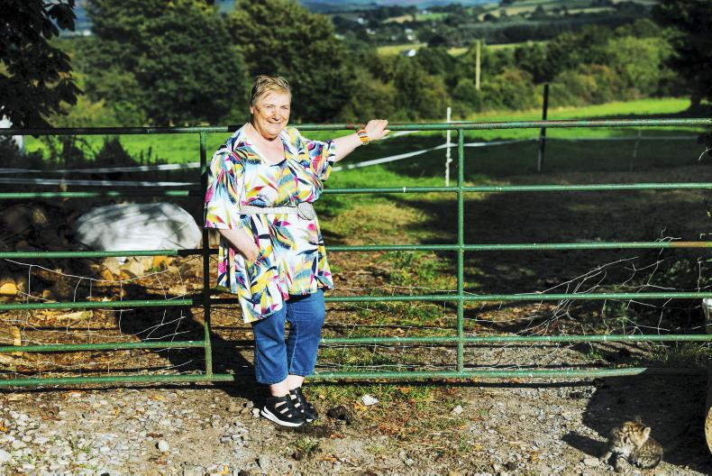 Succession Series: child-free citizens face inheritance tax burden 