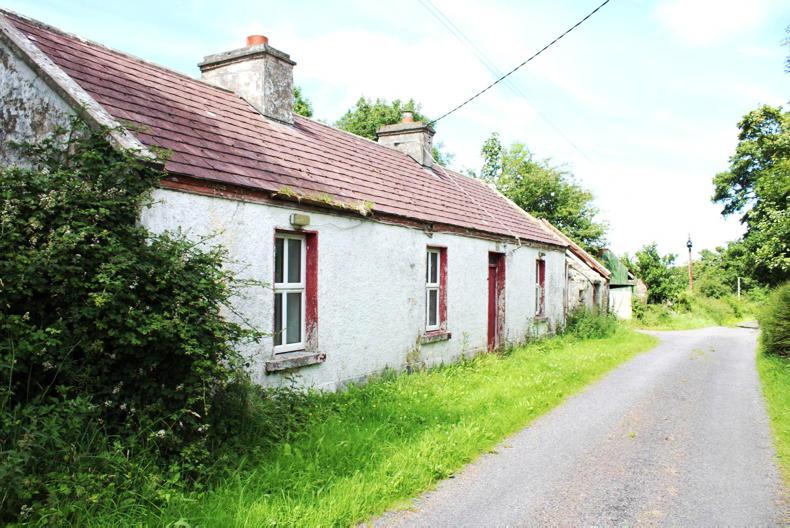 Sizeable Mayo land parcels on the market