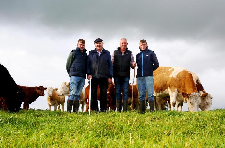 My Farming Week: Michael Glennon, Ballydangan, Co Roscommon
