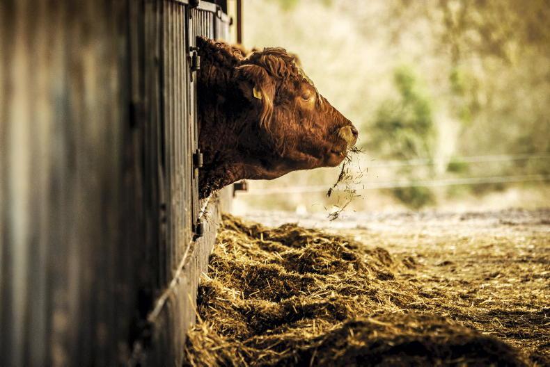 Almost €9/kg needed for winter finishers
