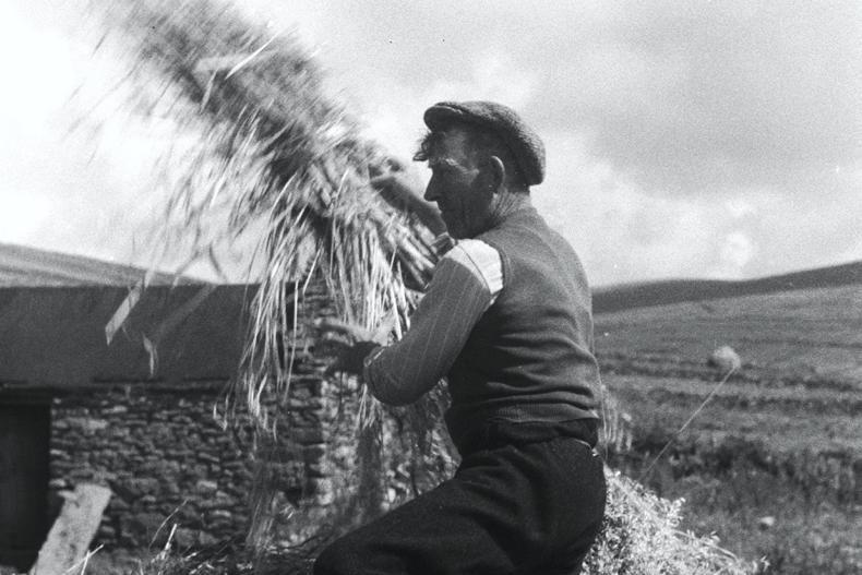 Our language brings agricultural sense to the ‘fómhar’ this time of year'