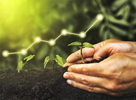 Pensions are the best long-term savings plan 