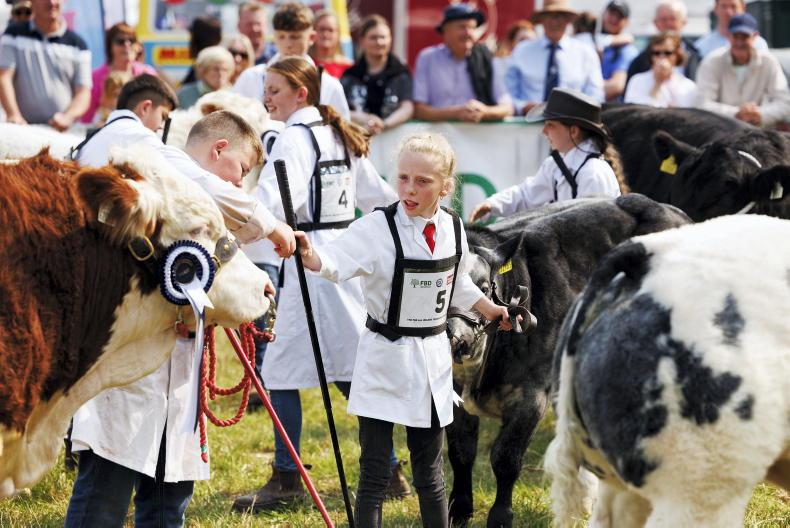 Young stock person finals destined for Ballinrobe