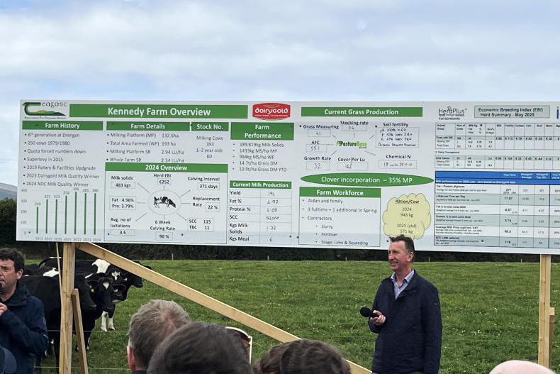 Large herd and high standards in Tipp