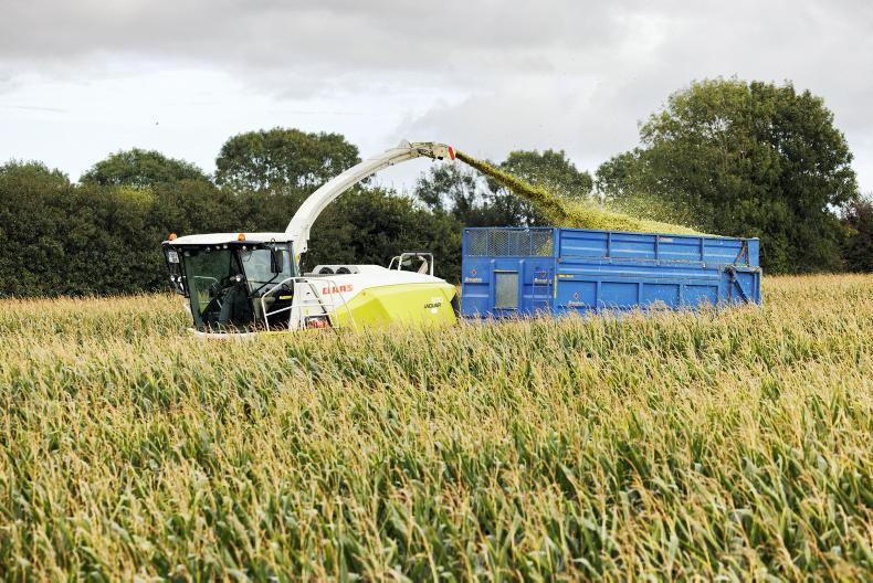 Tillage management: varieties, slugs and events