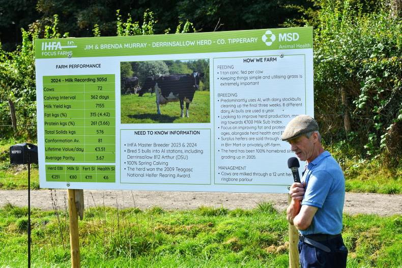 Autumn update from the Irish Holstein Friesian Association