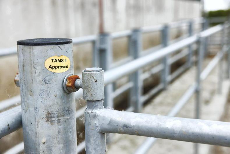 Teagasc cattle-handling facilities on farm demo