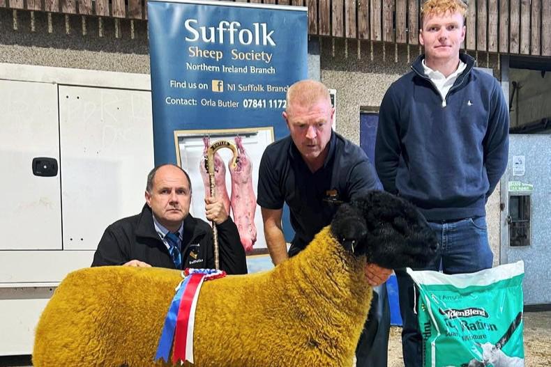 Suffolk ram lambs sell to 3,500gns