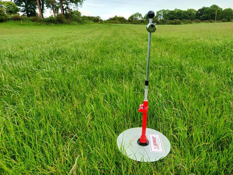 Grass growth this year up 8% on 2024