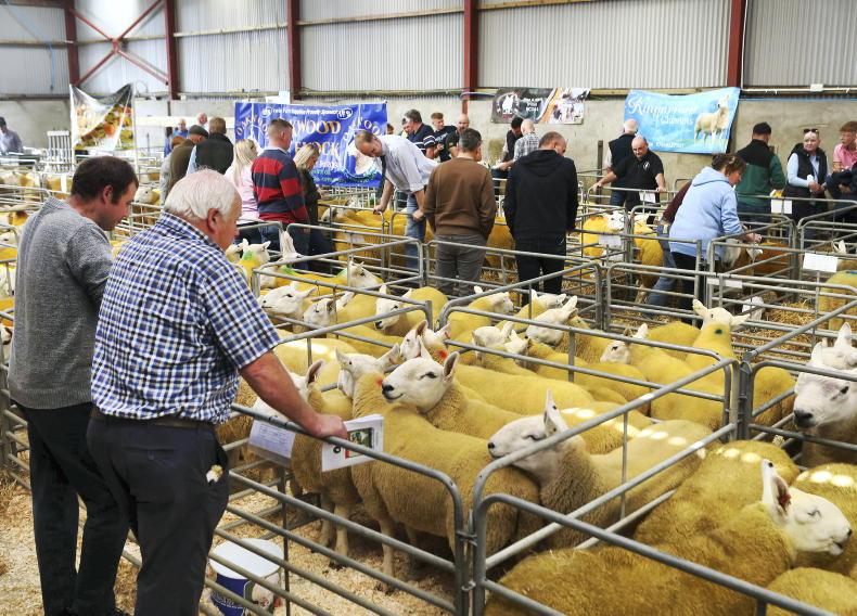 Over £240m paid out to NI farmers