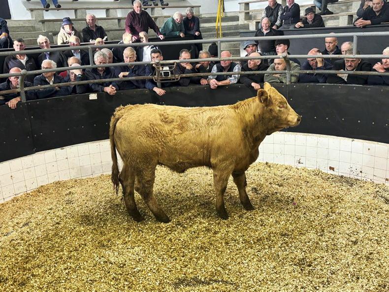 Farmers adding sparks to weanling trade