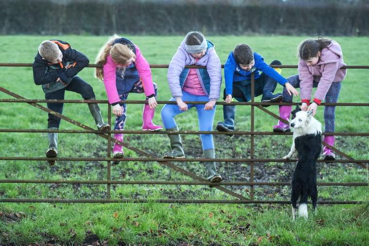 New youth support service from Embrace 