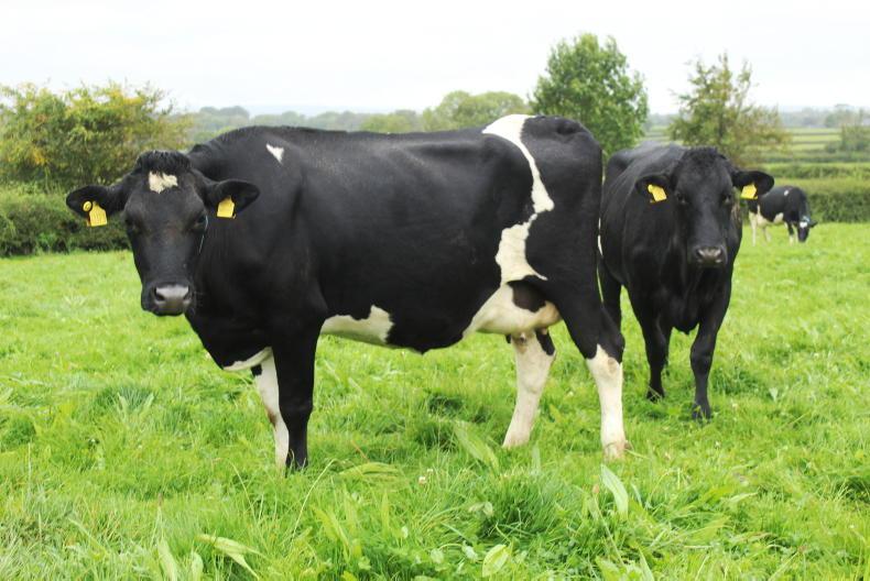 Ornua PPI drops for August                                                      