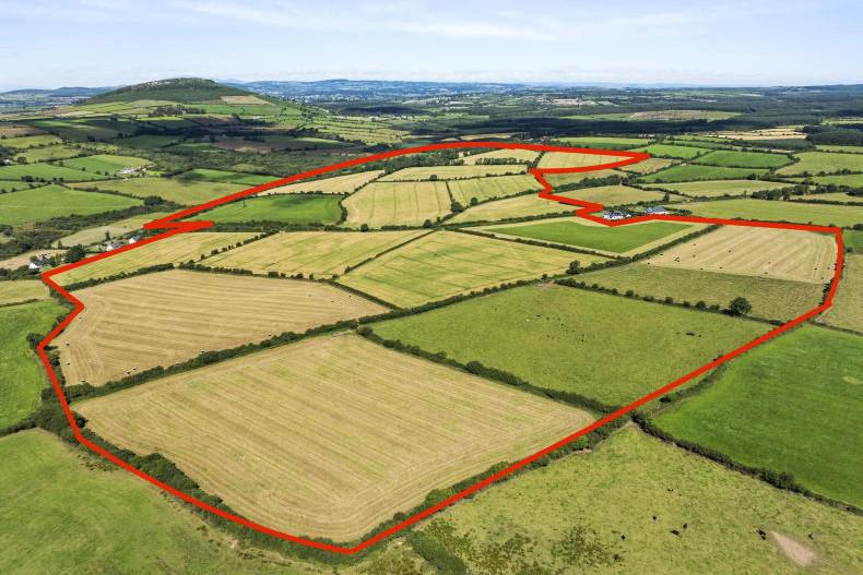 Farmers likely to compete for this land in Kilkenny