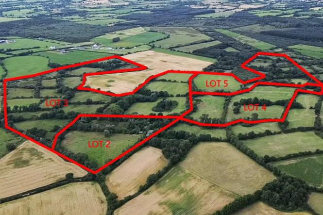 Fierce bidding drives Wexford farm auction to €1.55m sale