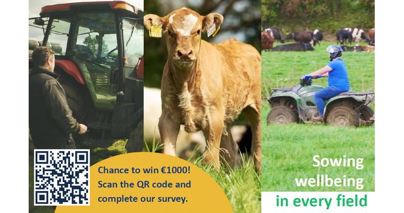 Sowing wellbeing in every field: brought to you by Agri Aware