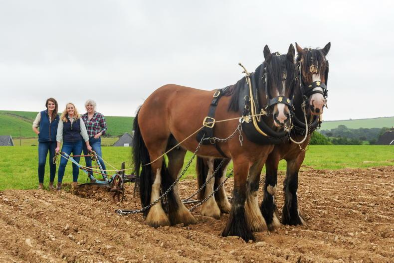 Three Cork women going to give the horse ploughing 'a good rattle'