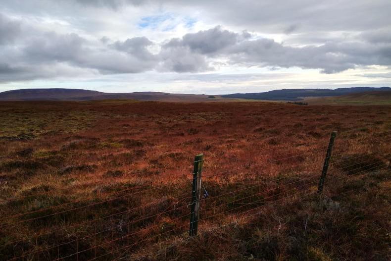 Stop nature restoration law following peatland findings – INHFA