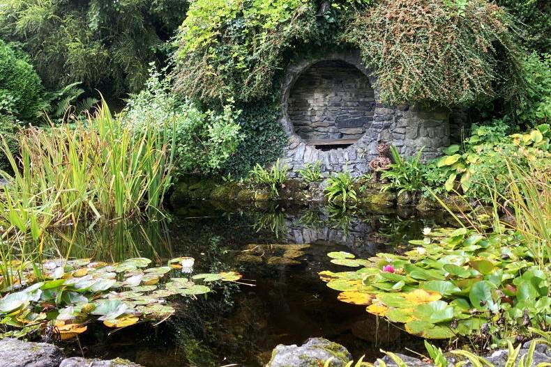 Gardening with Mary: keeping your pond pristine