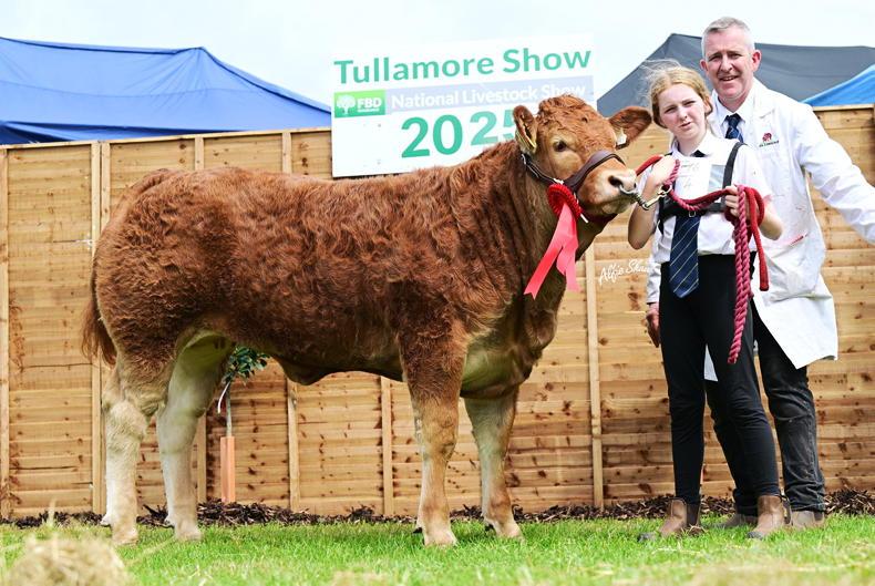 Violet blossoms to €10,000 in Roscrea