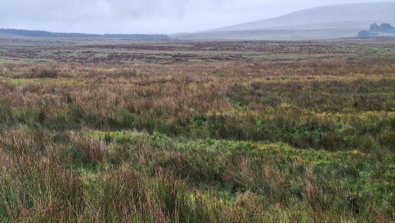 Straight talking: managing habitats and predator control