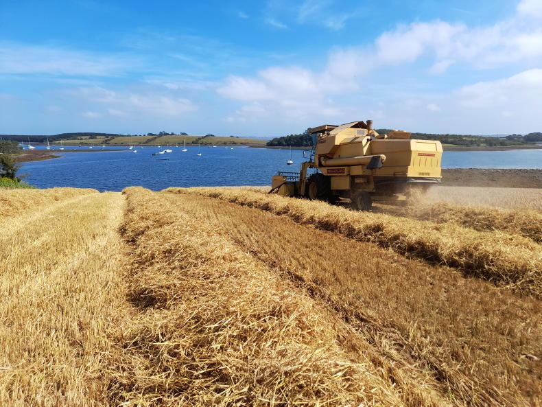 Hard to think of a better harvest than 2025