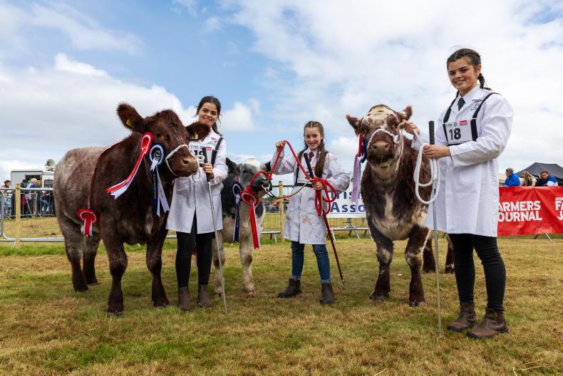 Cork sisters win all-Ireland stockperson titles