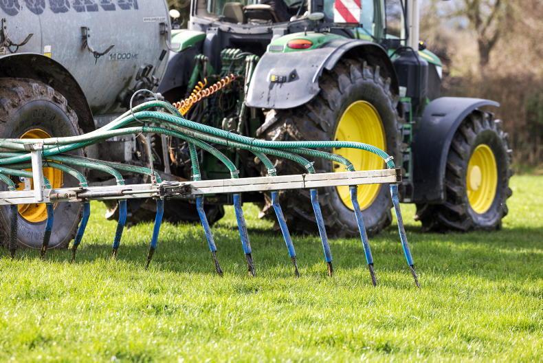 Ireland facing 200,000 cow cull if derogation lost