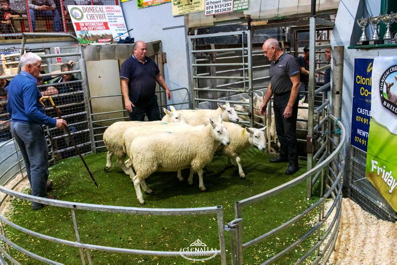 Sheep Management: ensuring eligibility with genotyped ram action