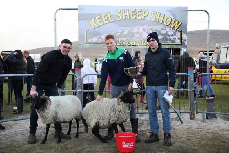 Achill's young sheep farmers staying true to the Blackface