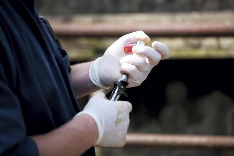 Dairy facing the brunt of new TB regulations