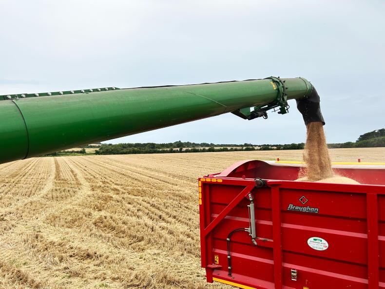 Grain Trends: December Matif falls further